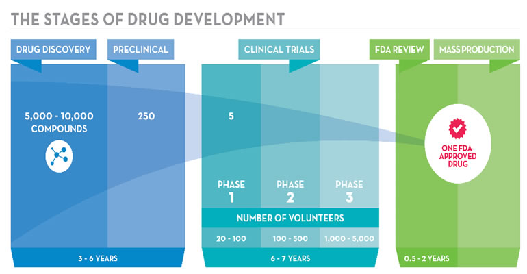 Stages of drug development